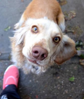 Прикрепленное изображение: IMG_20210306_185411.jpg